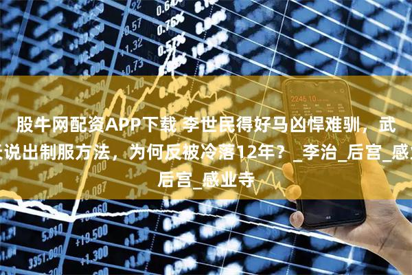 股牛网配资APP下载 李世民得好马凶悍难驯，武则天说出制服方法，为何反被冷落12年？_李治_后宫_感业寺