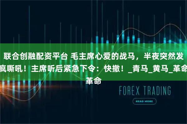 联合创融配资平台 毛主席心爱的战马，半夜突然发疯嘶吼！主席听后紧急下令：快撤！_青马_黄马_革命